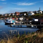 arnolds cove newfoundland