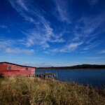arnolds cove newfoundland