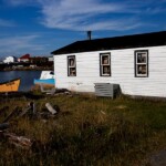 arnolds cove