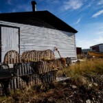 arnolds cove newfoundland