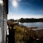 arnolds cove newfoundland