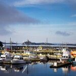 arnolds cove newfoundland