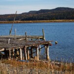 arnolds cove newfoundland