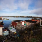 arnolds cove newfoundland