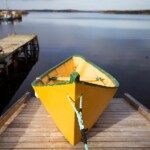 arnolds cove newfoundland